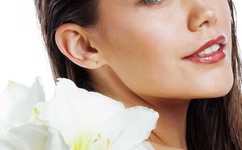 苍井空快播下载